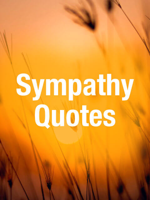 Top 30 Sympathy Quotes → Sympathy Card Messages